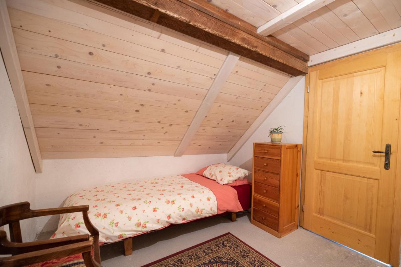 Wild Flower Cottage In טרנטה מראה חיצוני תמונה